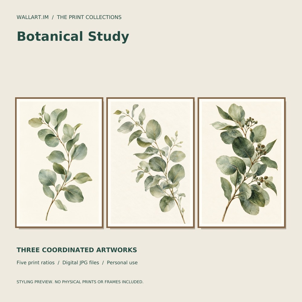 Botanical Study, all three artworks